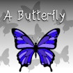 A Butterfly
